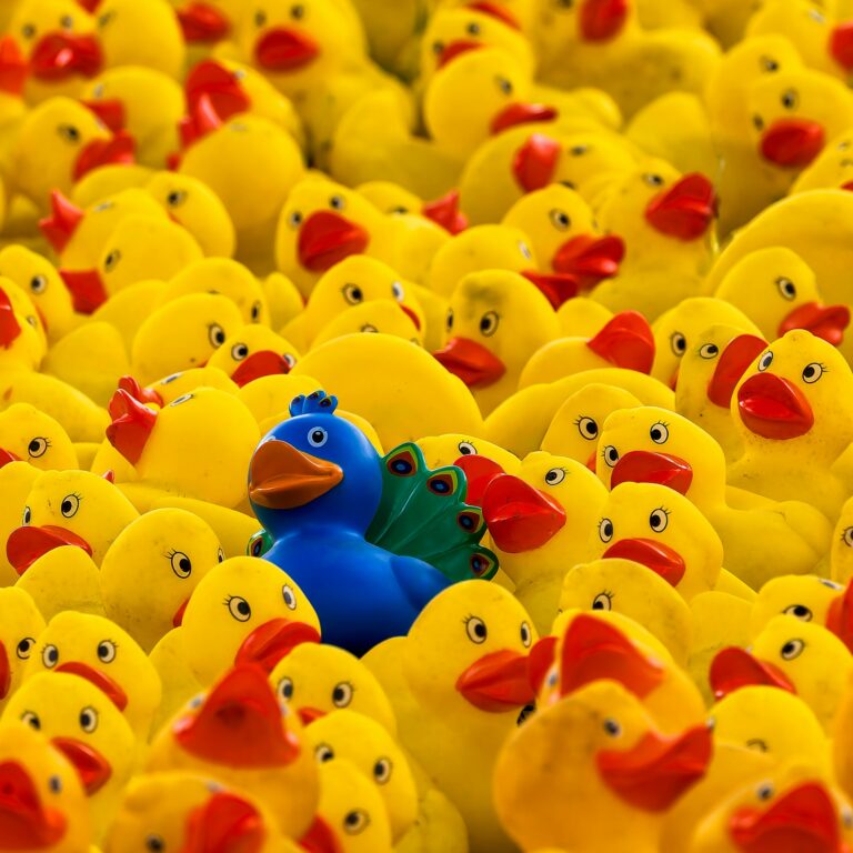 bob-jenkin-JLTrt22or3I-unsplash