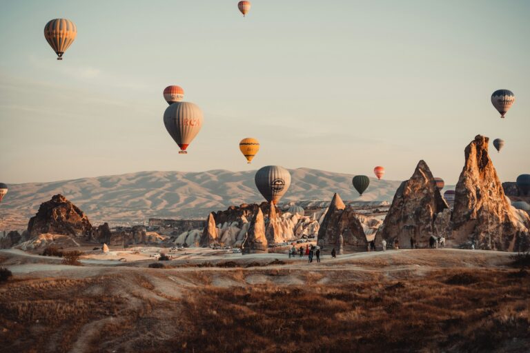 timur-garifov-p2RbLnqWPVY-unsplash (1)